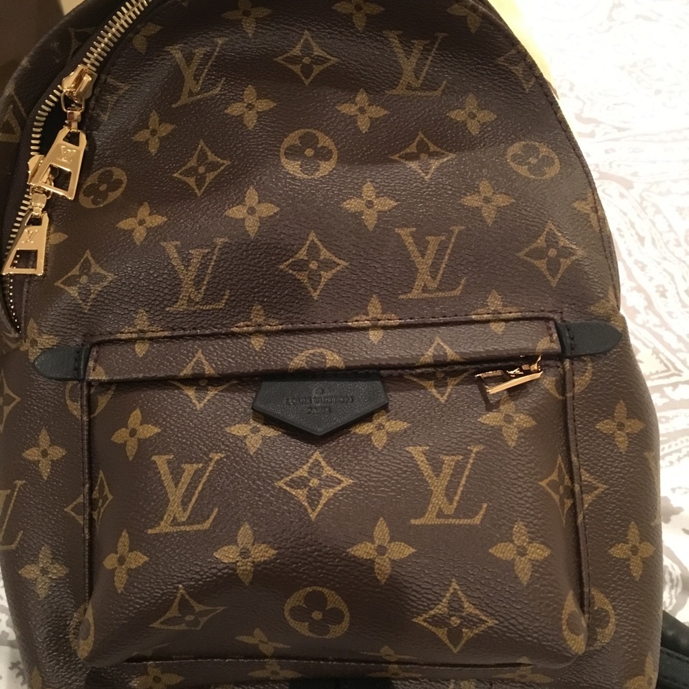Louis Vuitton Palm Springs PM Backpack - Picture 2 of 8